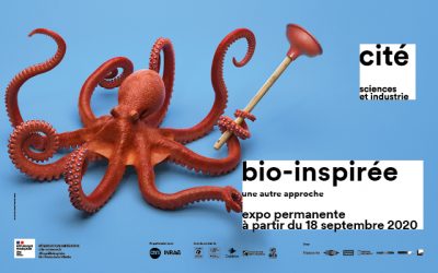 Bio-inspirée, une autre approche l’exposition