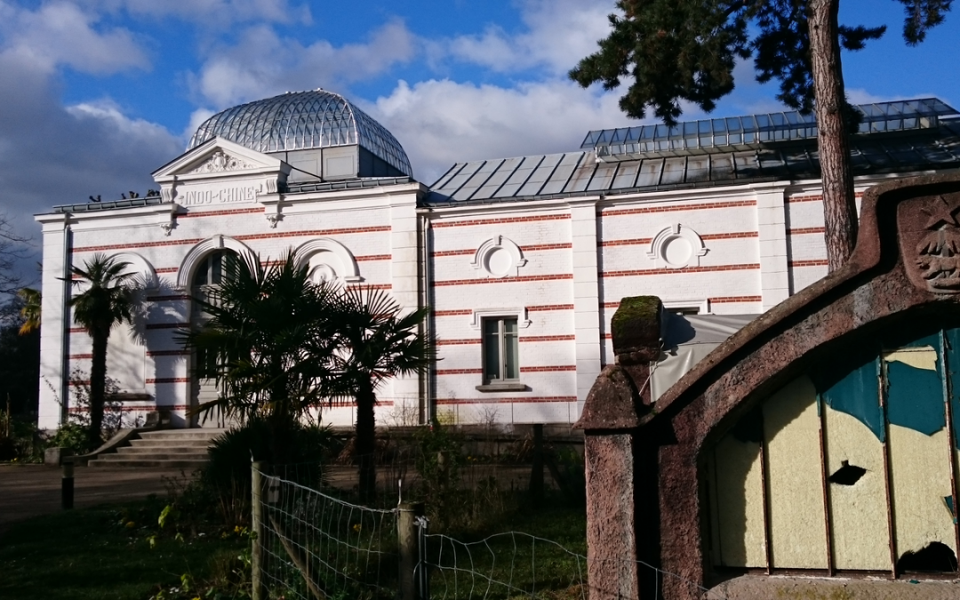 Visite au jardin d’agronomie tropicale