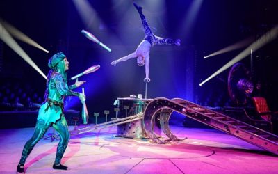 Arbre, le nouveau spectacle du Cirque Bormann – À partir du 5 octobre 2024