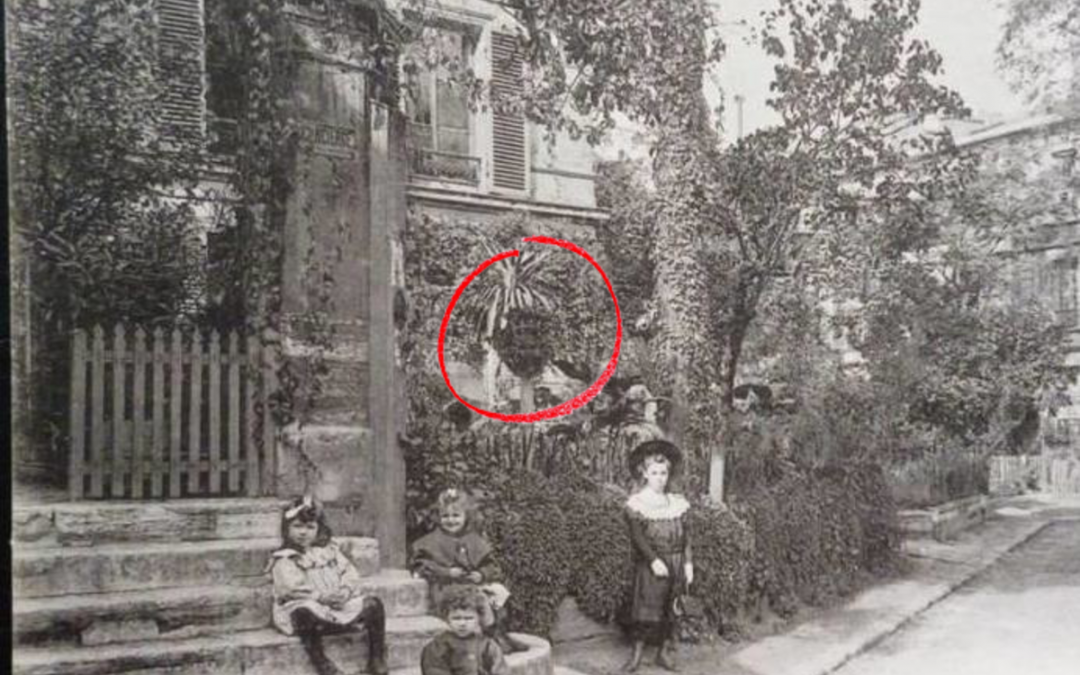 Visite guidée : les contes et légendes de Montmartre