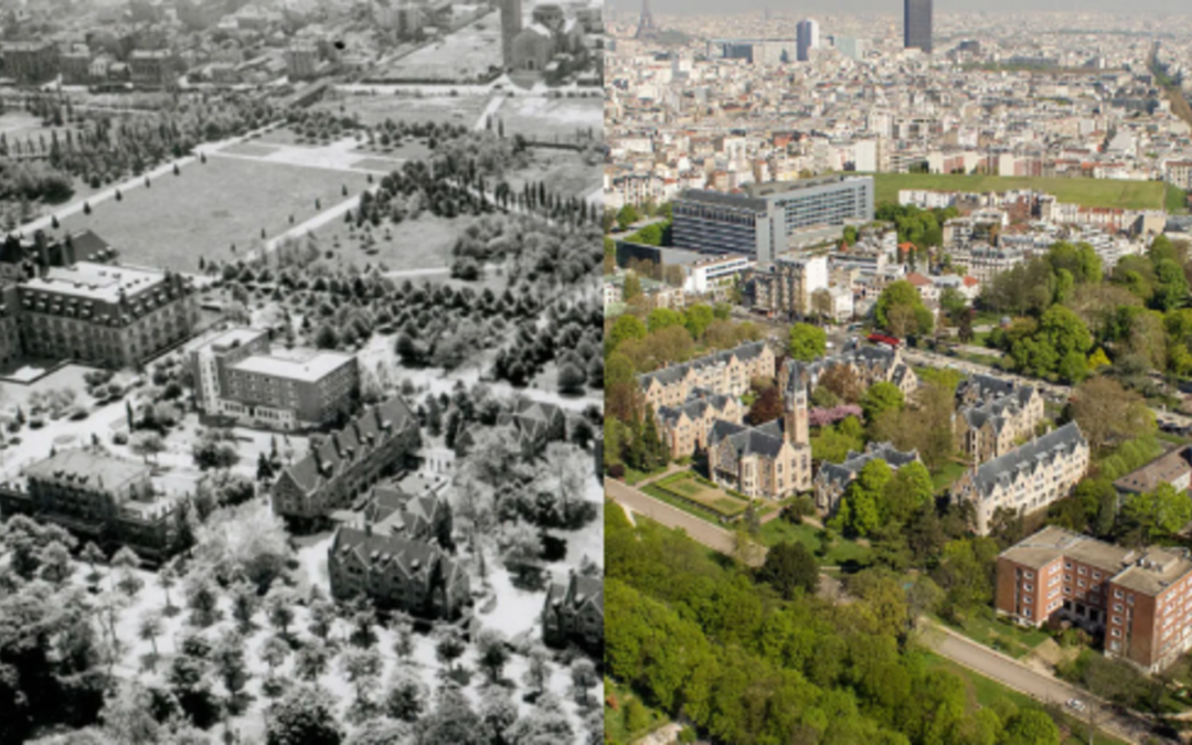 Rêver la Cité