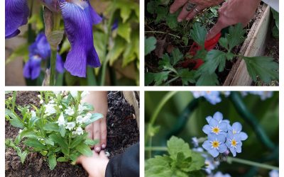 Le jardin se fait une beauté