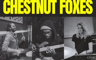 Chestnut Foxes