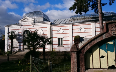 Visite au jardin d’agronomie tropicale