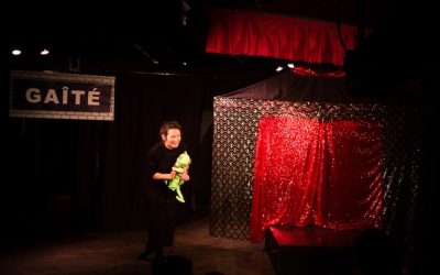 Un caméléon à Paris revient pour les vacances de Noël !