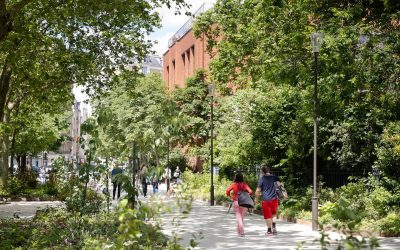 Conférence : un nouveau regard sur la nature en ville