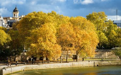 Conférence : la Seine, un fleuve vivant