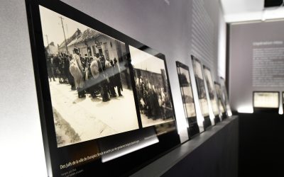 Visite guidée : exposition « Comment les nazis ont photographié leurs crimes. Auschwitz 1944 »