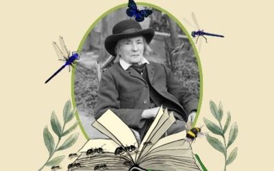 « Souvenirs entomologiques » de Jean-Henri Fabre, lectures