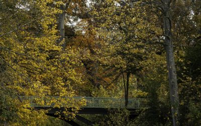 Les Foulées de l&rsquo;Assurance 2026