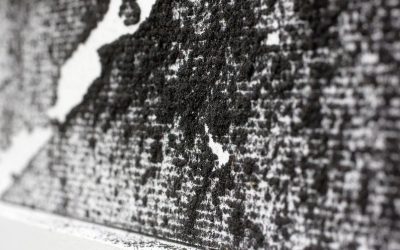 Exposition « Ombre est lumière. Mémoires des lieux. » au Panthéon