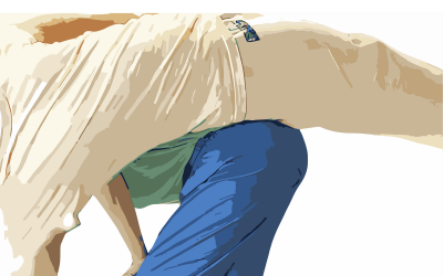 Stage de Danse Contact Improvisation avec Catherine Kych