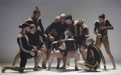 Wolf, un spectacle de cirque contemporain australien d’une grande vitalité au Théâtre Silvia Monfort