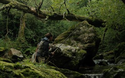 Projection : La rivière