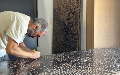 En compagnie de Nicolas Daubanes, visite à deux voix