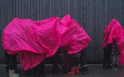 Spectacle « Nous ou le paradoxe du hérisson »
