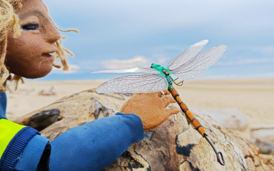 Spectacle : LA SURFEUSE ET LA LIBELLULE