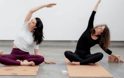 30h – Formation « Yogathérapie et douleurs »