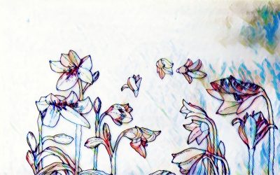 Stages Yoga Iyengar débutants et intermédiaires