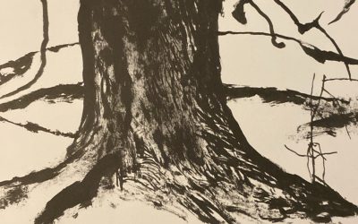 Le Théorème de l’olivier