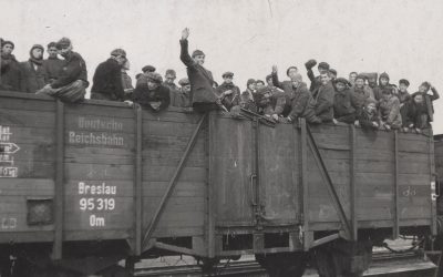 La fin de la Shoah. Survivre, témoigner, juger