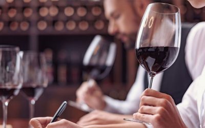 Stage d&rsquo;œnologie