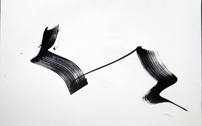 Jonglages et Sciences : Le champs des possibles