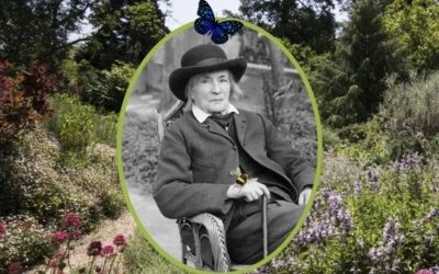 Exposition Jean-Henri Fabre, Homère des insectes