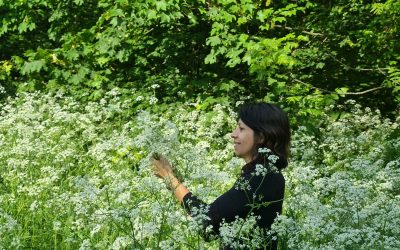 Découvrez les plantes sauvages de la Coulée Verte