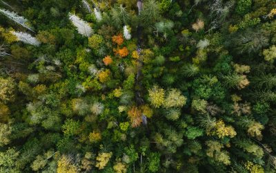L’Automne de la science dans les bibliothèques – La nature nous inspire