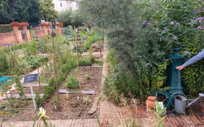 Rendez-vous au jardin !