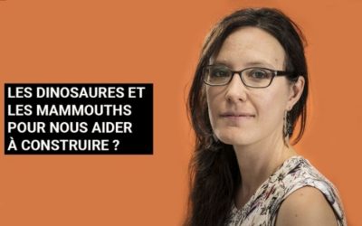 La paléo-bioinspiration : quand les fossiles inspirent le futur