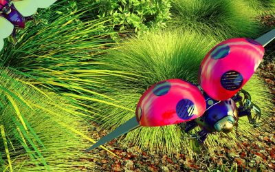 Atelier – Bio-inspiration : la nature modèle de la science