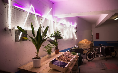 Visite – À la découverte de la ferme urbaine « La Caverne »