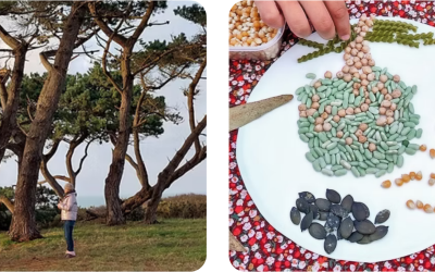 Yoga de l’arbre suivi d’un atelier créatif land art