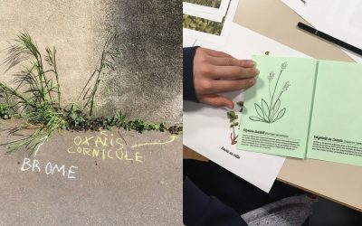 L&rsquo;Automne de la Science à la Canopée : atelier de graffiti botanique
